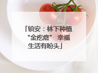 镇安：林下种植“金疙瘩” 幸福生活有盼头