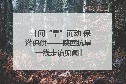 闻“旱”而动 保灌保供——陕西抗旱一线走访见闻