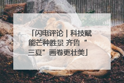 闪电评论｜科技赋能芒种胜景 齐鲁“三夏”画卷更壮美