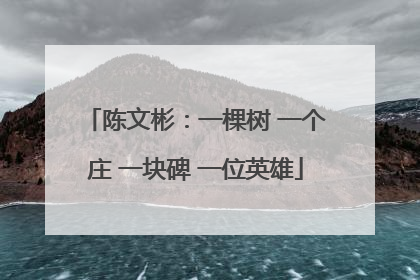 陈文彬：一棵树 一个庄 一块碑 一位英雄