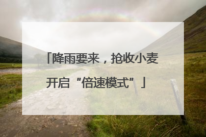 降雨要来，抢收小麦开启“倍速模式”
