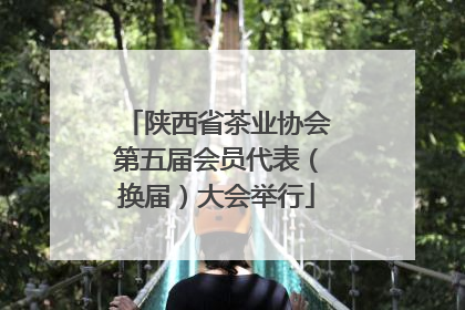 陕西省茶业协会第五届会员代表（换届）大会举行