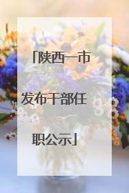 陕西一市发布干部任职公示