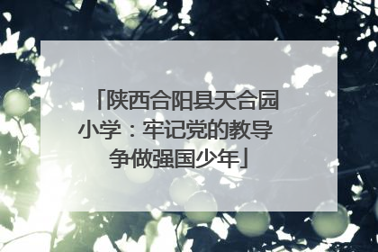 陕西合阳县天合园小学：牢记党的教导 争做强国少年