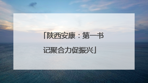 陕西安康：第一书记聚合力促振兴