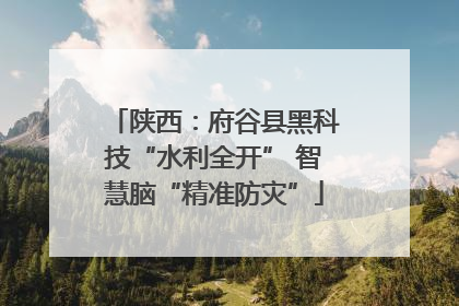 陕西：府谷县黑科技“水利全开” 智慧脑“精准防灾”