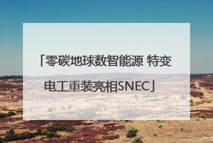 零碳地球数智能源 特变电工重装亮相SNEC