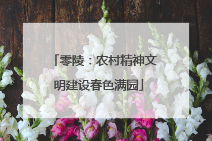 零陵：农村精神文明建设春色满园
