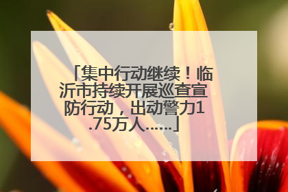 集中行动继续！临沂市持续开展巡查宣防行动，出动警力1.75万人……