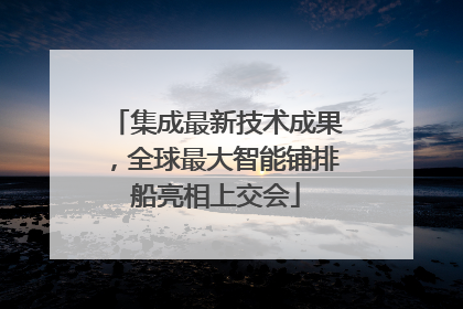 集成最新技术成果，全球最大智能铺排船亮相上交会