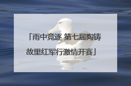 雨中竞逐 第七届陶铸故里红军行激情开赛