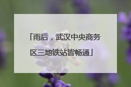 雨后，武汉中央商务区三地铁站皆畅通