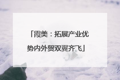 霞美：拓展产业优势内外贸双翼齐飞