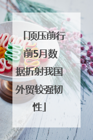 顶压前行 前5月数据折射我国外贸较强韧性