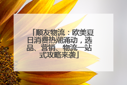顺友物流：欧美夏日消费热潮涌动，选品、营销、物流一站式攻略来袭