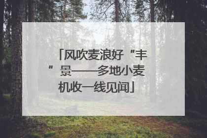 风吹麦浪好“丰”景——多地小麦机收一线见闻