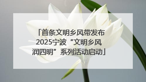 首条文明乡风带发布 2025宁波“文明乡风润四明”系列活动启动
