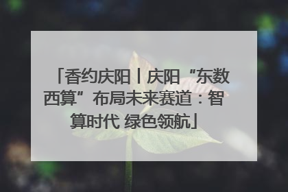 香约庆阳丨庆阳“东数西算”布局未来赛道：智算时代 绿色领航