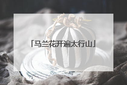马兰花开遍太行山