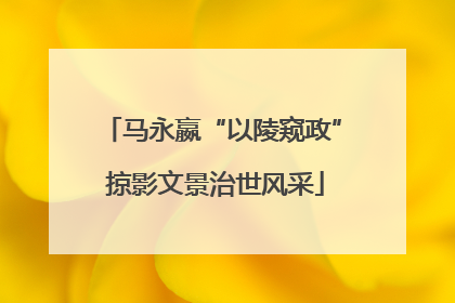 马永嬴“以陵窥政” 掠影文景治世风采
