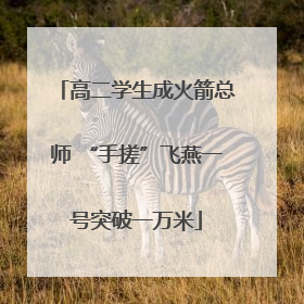 高二学生成火箭总师 “手搓”飞燕一号突破一万米