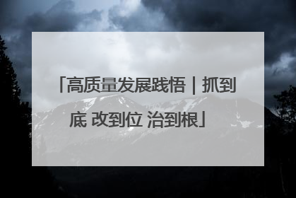 高质量发展践悟｜抓到底 改到位 治到根