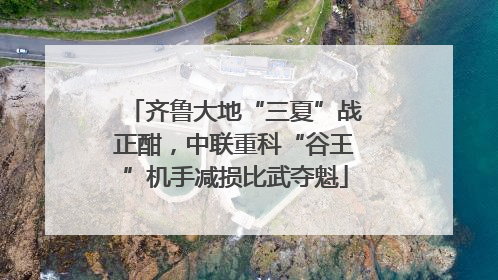 齐鲁大地“三夏”战正酣，中联重科“谷王”机手减损比武夺魁