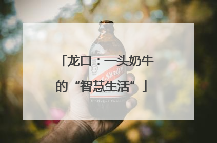 龙口：一头奶牛的“智慧生活”