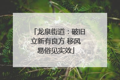 龙泉街道：破旧立新有良方 移风易俗见实效