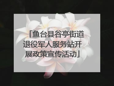 鱼台县谷亭街道退役军人服务站开展政策宣传活动