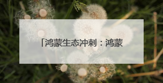 鸿蒙生态冲刺：鸿蒙电脑预约量超12万，手机备货量激增
