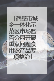 鹤壁市城乡一体化示范区市场监管分局开展重点问题食用农产品专项整治