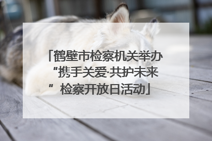 鹤壁市检察机关举办“携手关爱·共护未来”检察开放日活动
