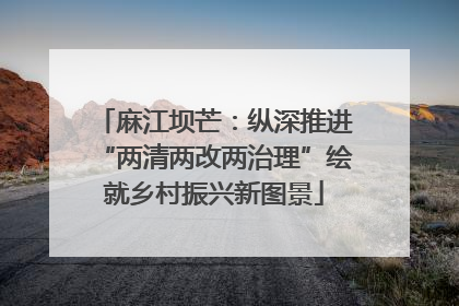 麻江坝芒：纵深推进“两清两改两治理”绘就乡村振兴新图景