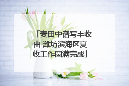 麦田中谱写丰收曲 潍坊滨海区夏收工作圆满完成