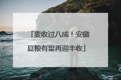 麦收过八成！安徽夏粮有望再迎丰收