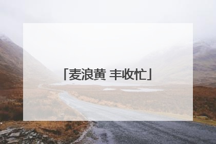 麦浪黄 丰收忙