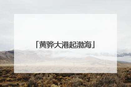 黄骅大港起渤海