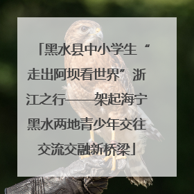 黑水县中小学生“走出阿坝看世界”浙江之行——架起海宁黑水两地青少年交往交流交融新桥梁