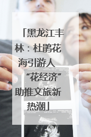 黑龙江丰林：杜鹃花海引游人 “花经济”助推文旅新热潮