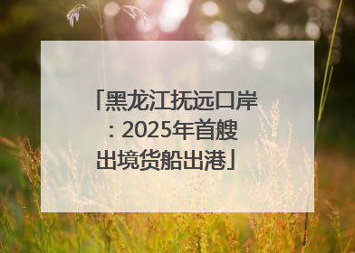 黑龙江抚远口岸：2025年首艘出境货船出港