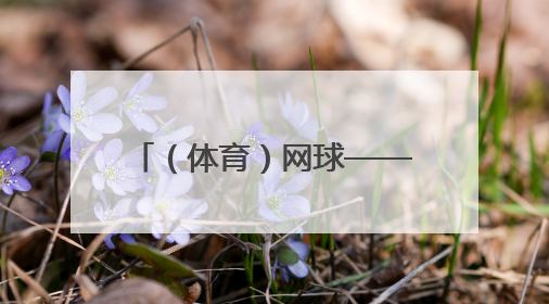 （体育）网球——法网：辛纳对阵阿尔卡拉斯（2）