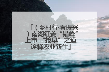 （乡村行·看振兴）南湖红菱“错峰”上市 “抢早”之道诠释农业新生