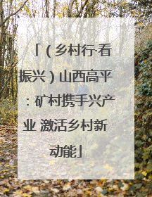（乡村行·看振兴）山西高平：矿村携手兴产业 激活乡村新动能