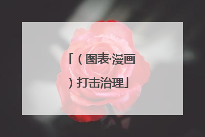 （图表·漫画）打击治理