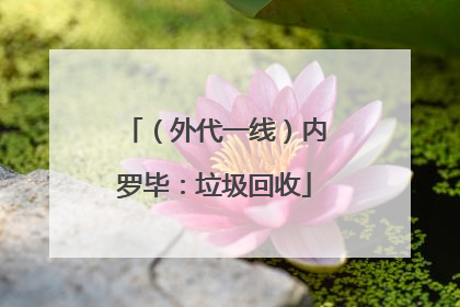 （外代一线）内罗毕：垃圾回收