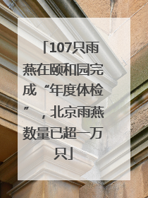 107只雨燕在颐和园完成“年度体检”，北京雨燕数量已超一万只