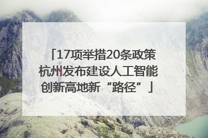 17项举措20条政策 杭州发布建设人工智能创新高地新“路径”