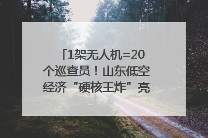 1架无人机=20个巡查员！山东低空经济“硬核王炸”亮相青岛，下一个万亿赛道藏在这里