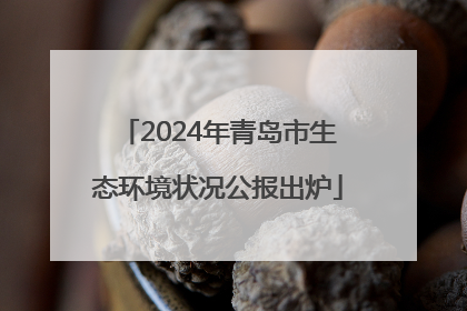 2024年青岛市生态环境状况公报出炉